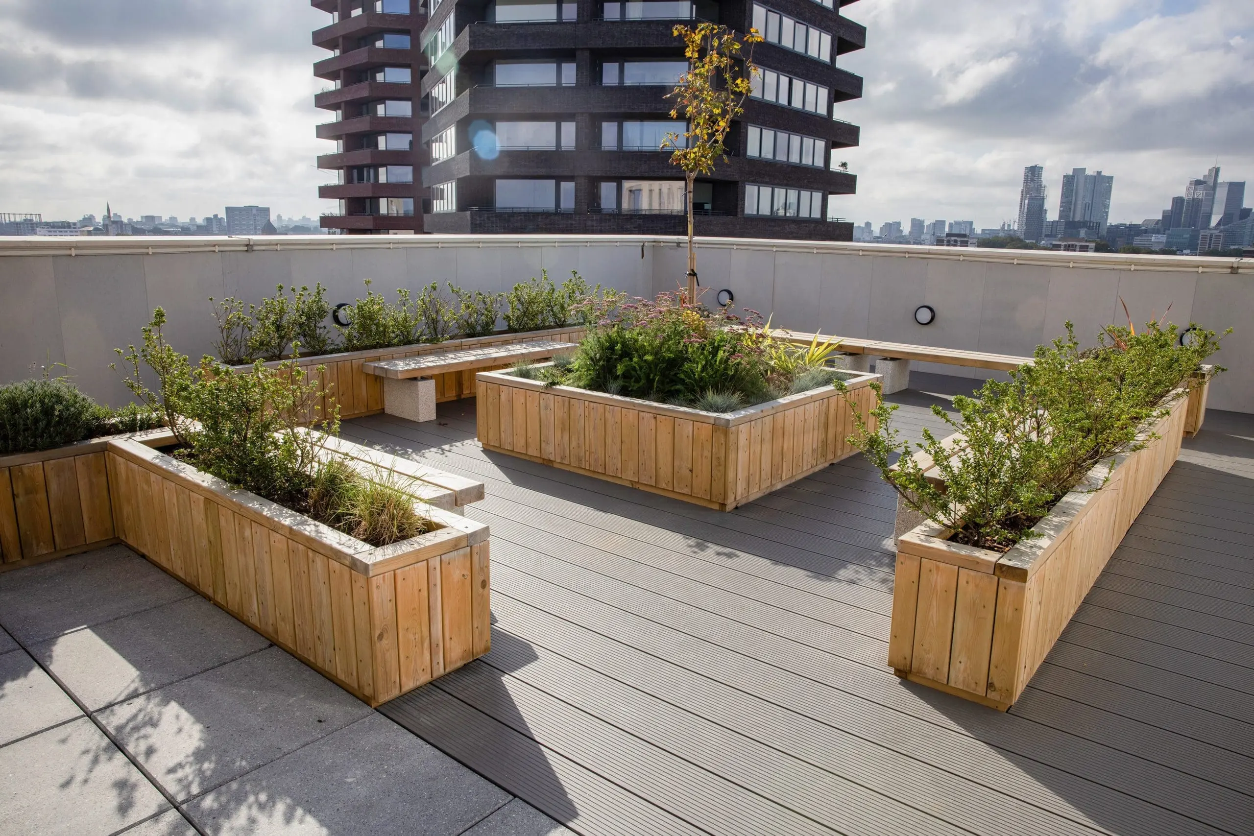 centre piece wooden raised planter filled with bushes and small tree surrounded by benches and smaller planters on building rooftop