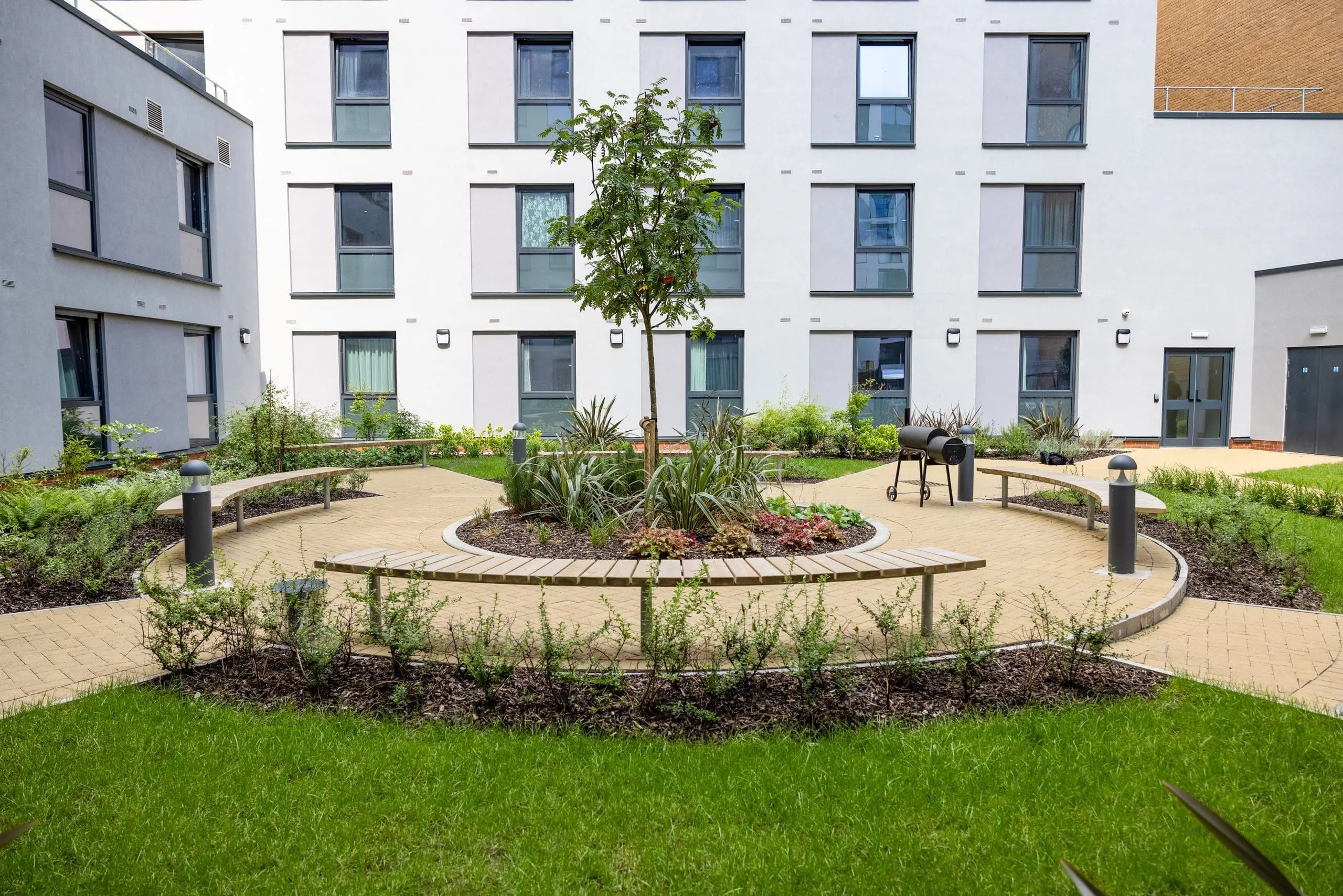 University courtyard with small tree in the centre surround by 4 separate semi circle curved wooden benches with metal legs