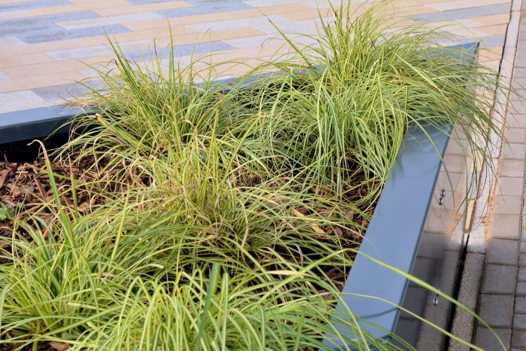 outdoor-metal-planter-close-up