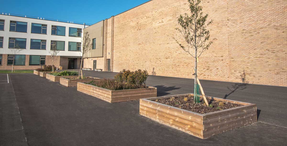 Row of large wooden raised planters alternating between bushes and trees planted inside infront of school