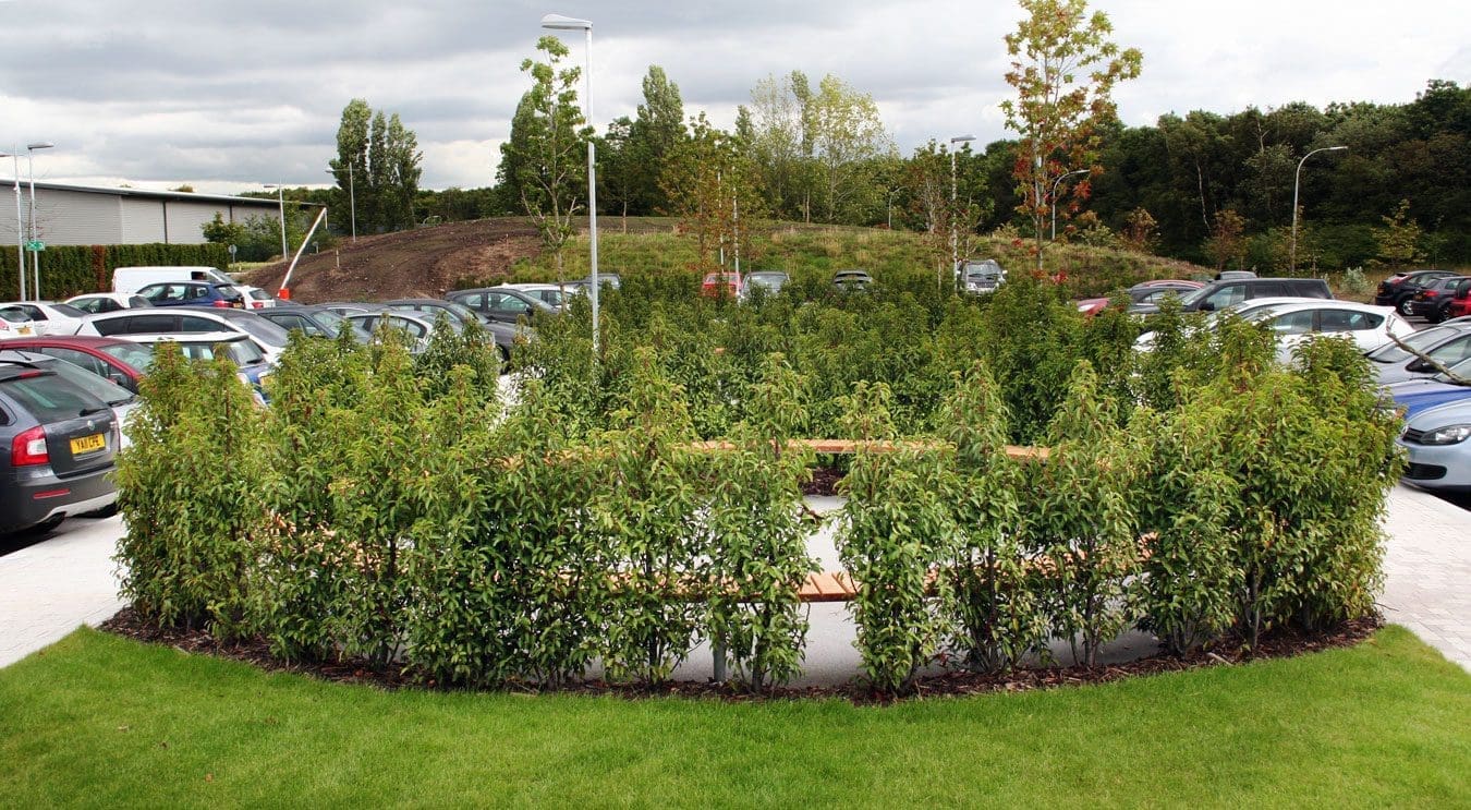 Large circular bench seating area surrounded by trees