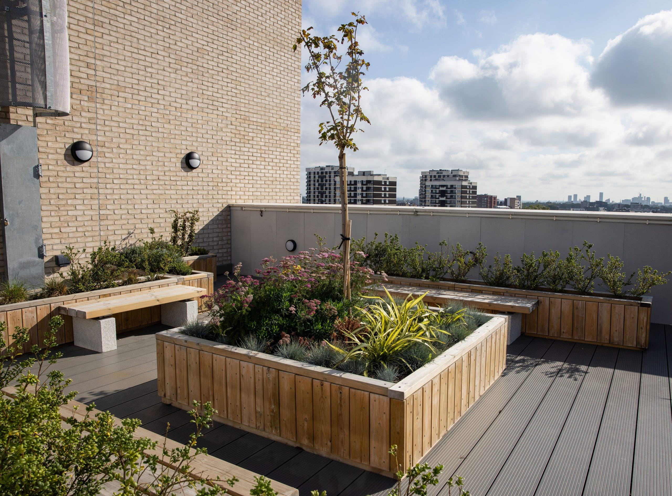centre piece wooden raised planter filled with bushes and small tree surrounded by benches and smaller planters on building rooftop