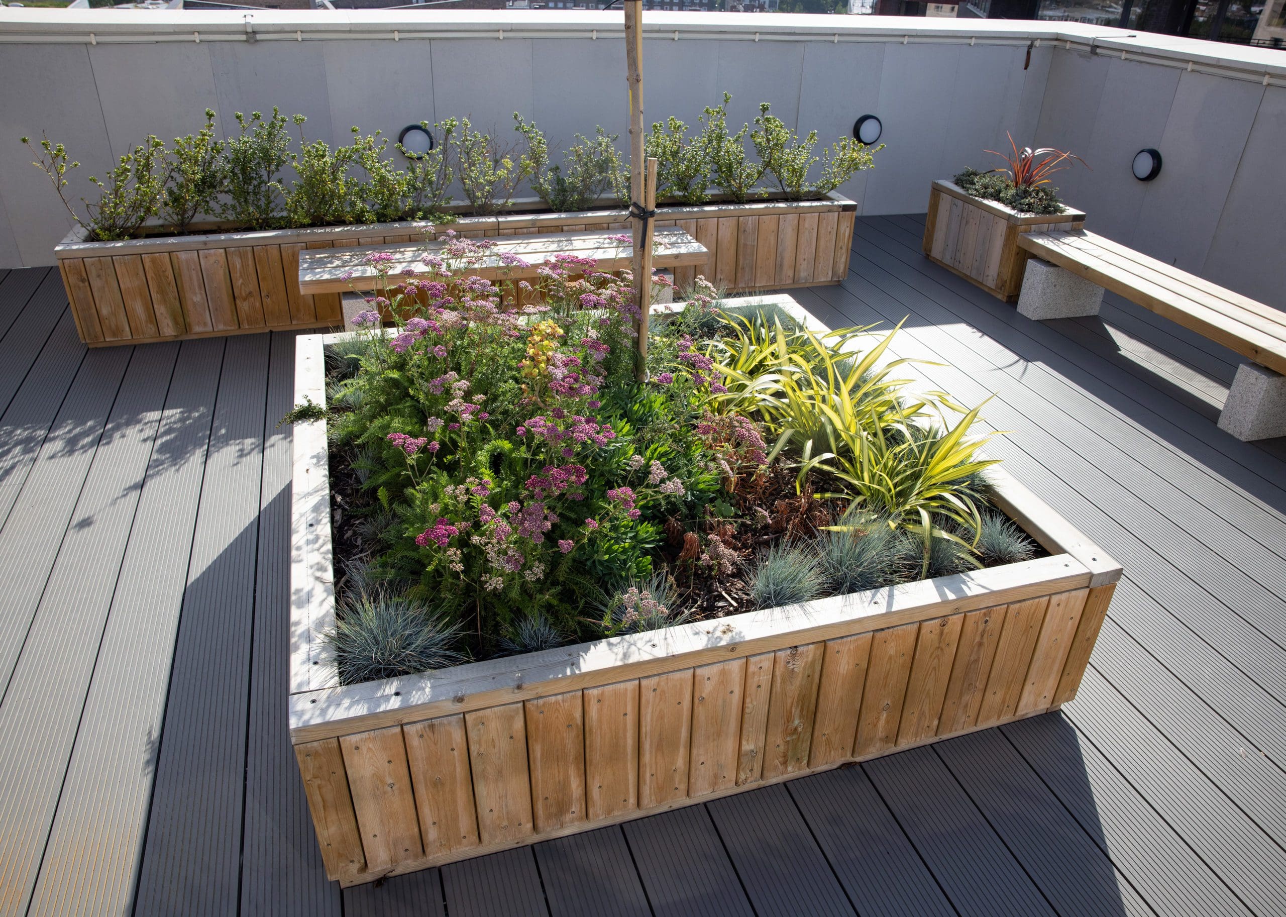centre piece wooden raised planter filled with bushes and small tree surrounded by benches and smaller planters on building rooftop