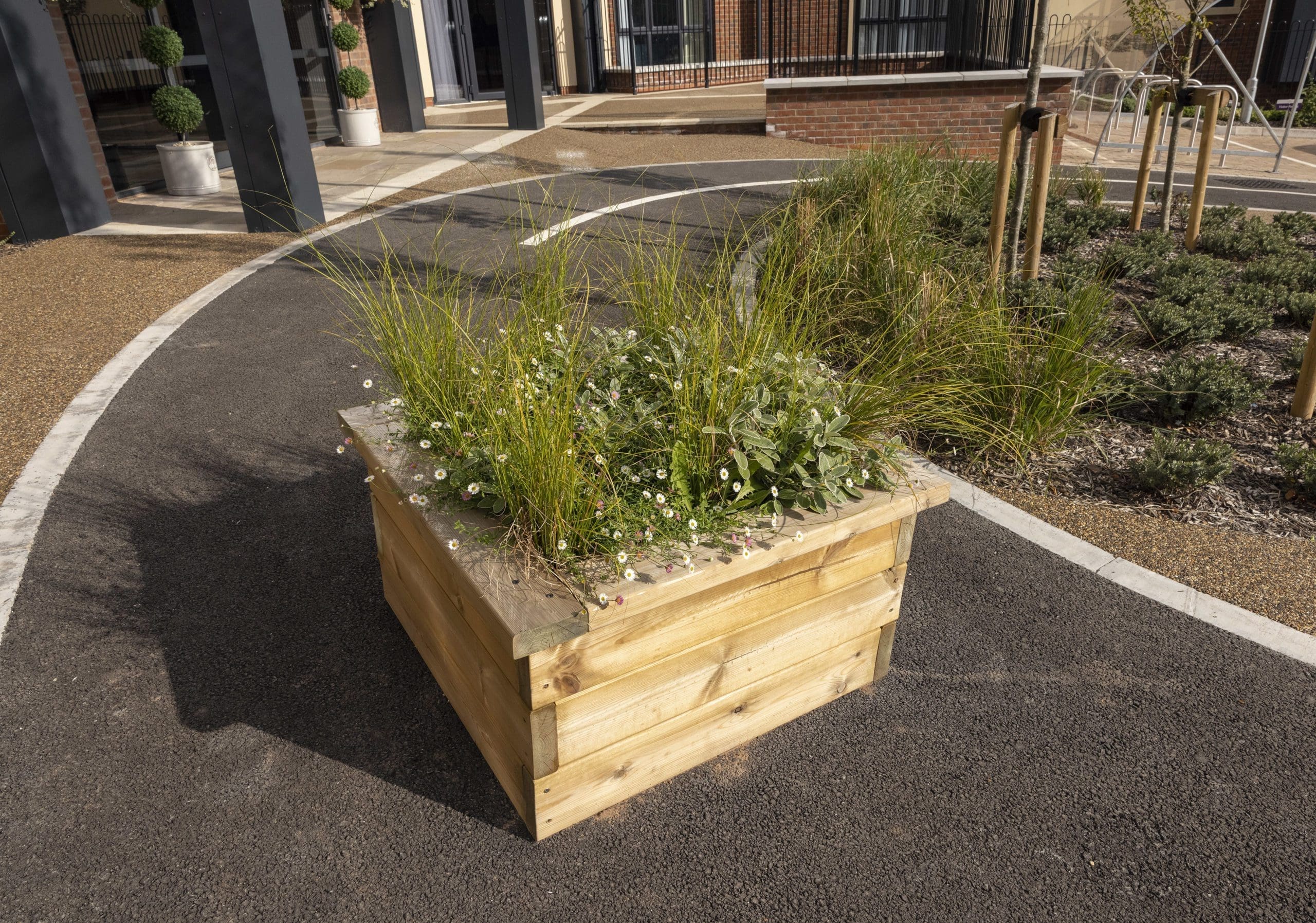 wooden square raised planter on tarmac
