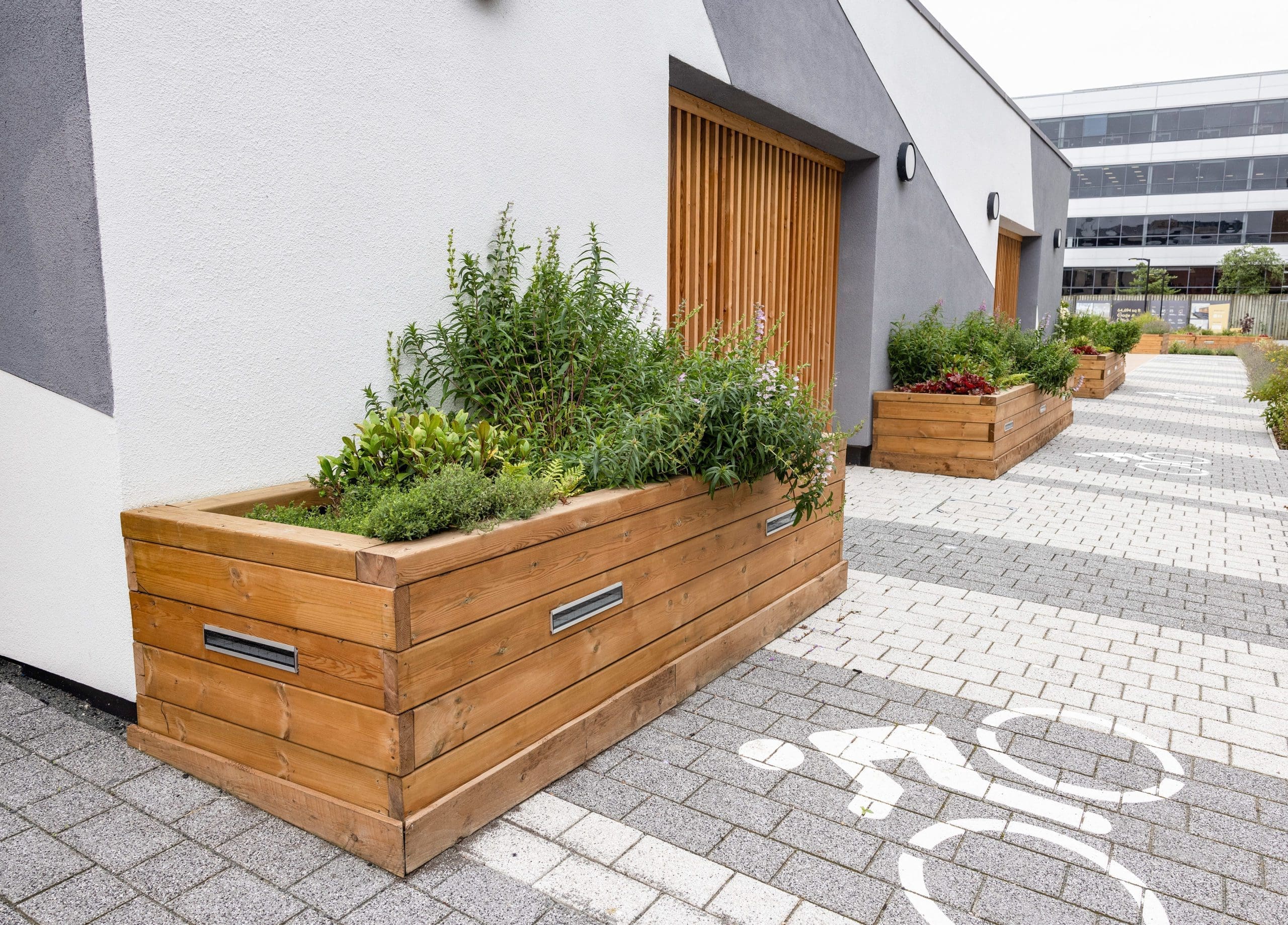 wooden-raised-planters