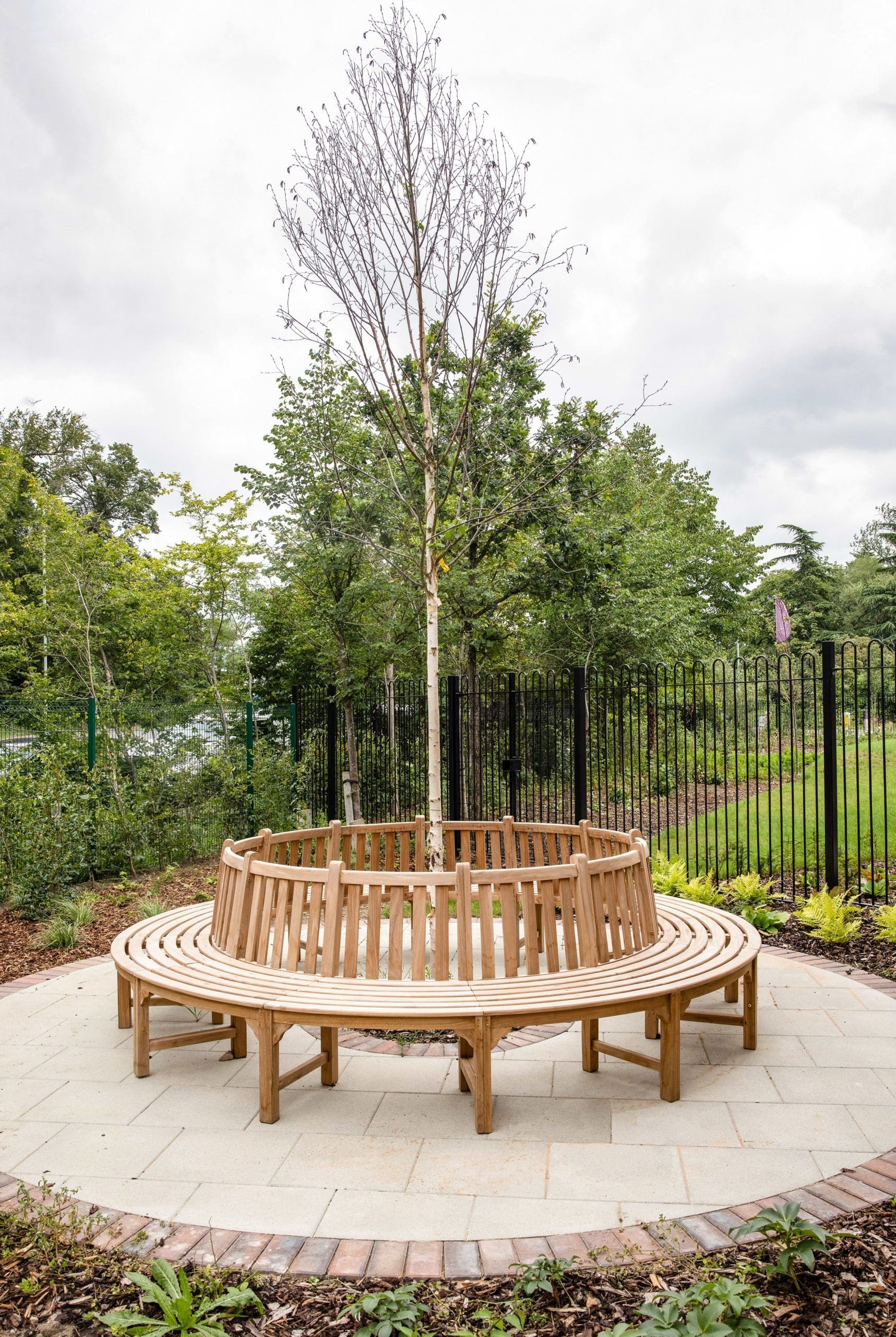 Connected circle of traditional wooden park benches surrounding small tree