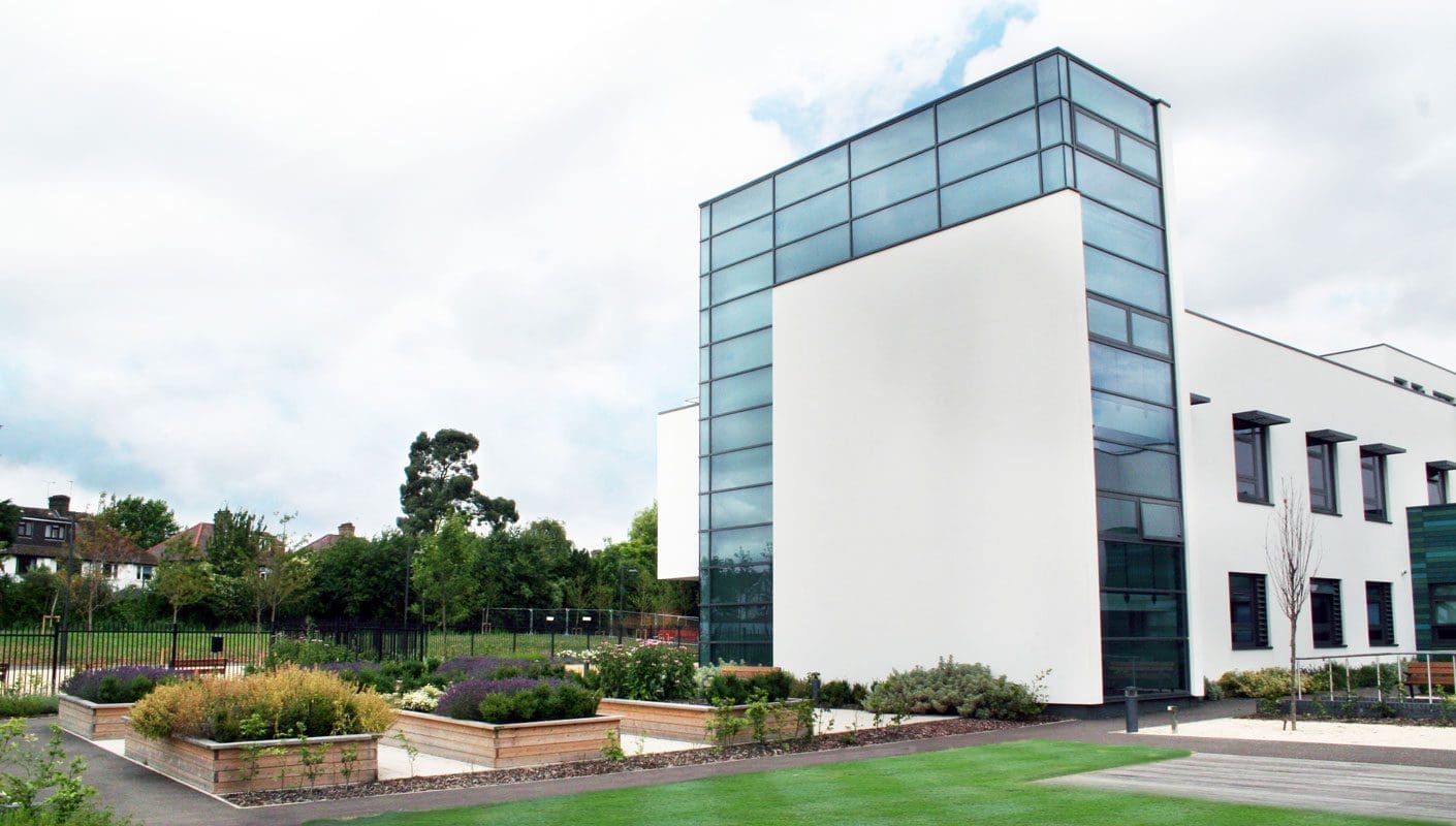 Multiple rows of raised wooden planters filled with lavender and bushes next to large building