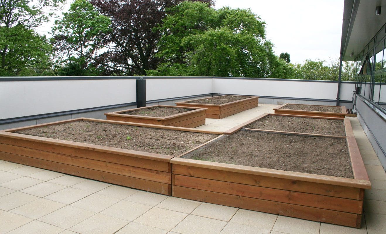 Collection of wooden raised plant beds