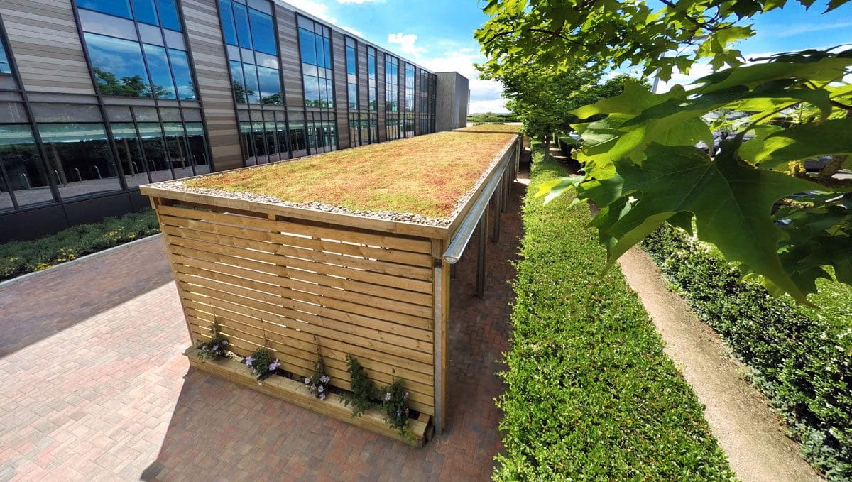 Large wooden pergola covering metal bicycle rack hoops in the ground with small thin raised planters along the left and right edges from above showing living roof