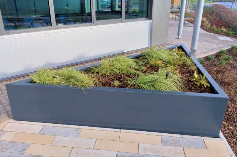 triangle shaped steel planter, filled with plants and shrubs